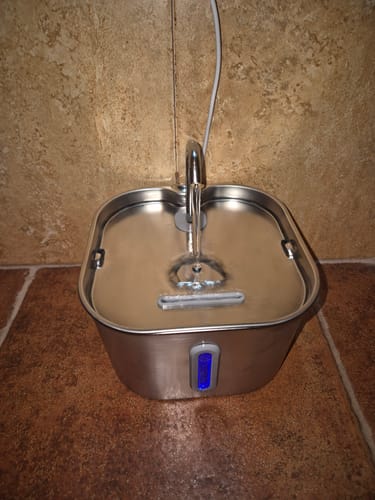 Foto de la fuente HydriaCat enviada por una clienta