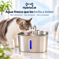 Gato bebiendo de la fuente de agua HydriaCat